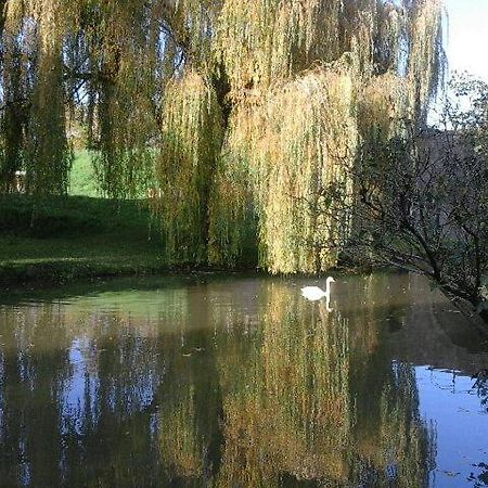 Le Clos Des Cygnes Charolles Exterior photo